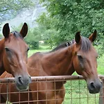 Ferien Am Talhof 3* Sankt Urban
