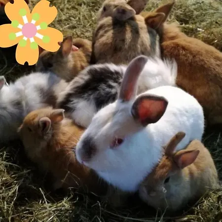 Ferien Am Talhof Sankt Urban