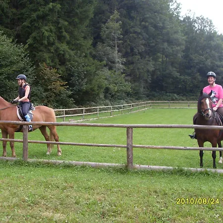 Ferien Am Talhof 3* Sankt Urban