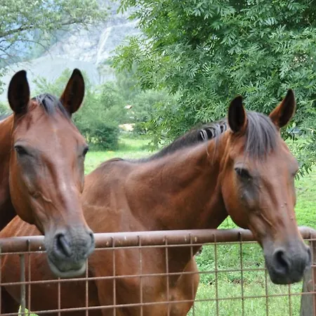Ferien Am Talhof 3* Sankt Urban