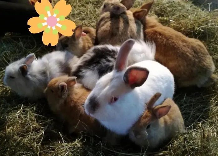 Ferien Am Talhof סנט אורבן