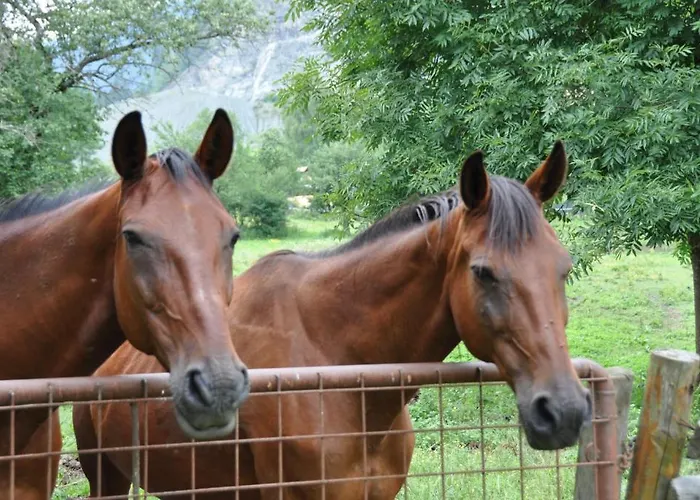 Ferien Am Talhof 3* סנט אורבן